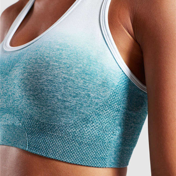 Ombre Seamless Sports Bra