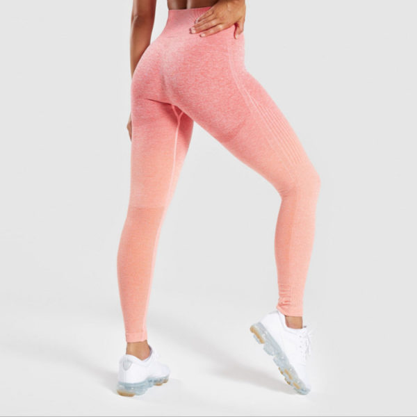 Ombre Seamless Leggings - Image 5