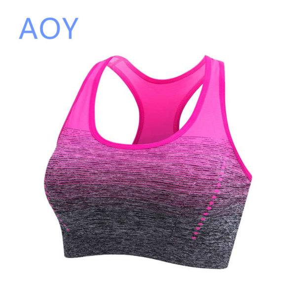 Gradient Sport Bra